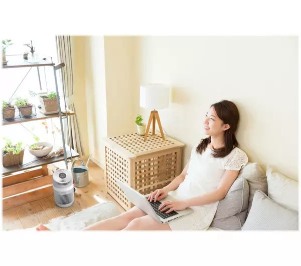 Boneco P230 Air Purifier