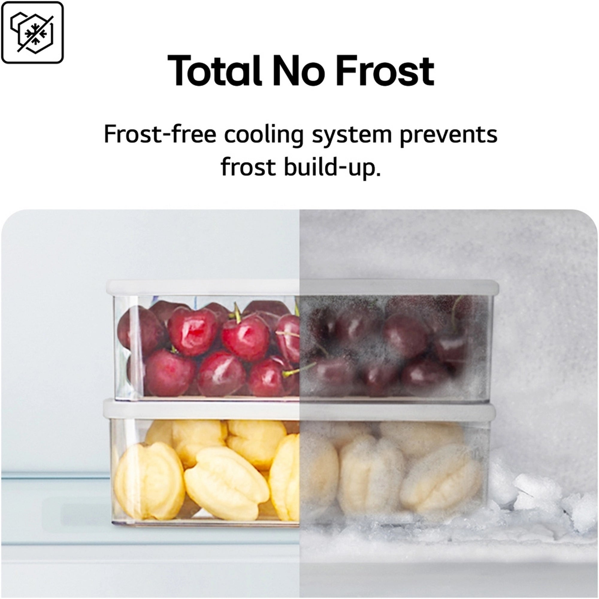 LG GBF3102EEP 343L NatureFRESH Frost Free Fridge Freezer with Non Plumbed Water Dispenser Matte Black