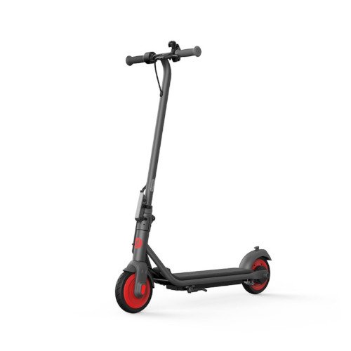 Segway ZING C20 Ninebot eKickScooter Electric Scooter